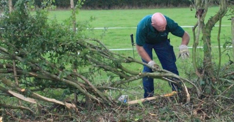 All-Ireland 'hedge laying' championship to take place in Offaly