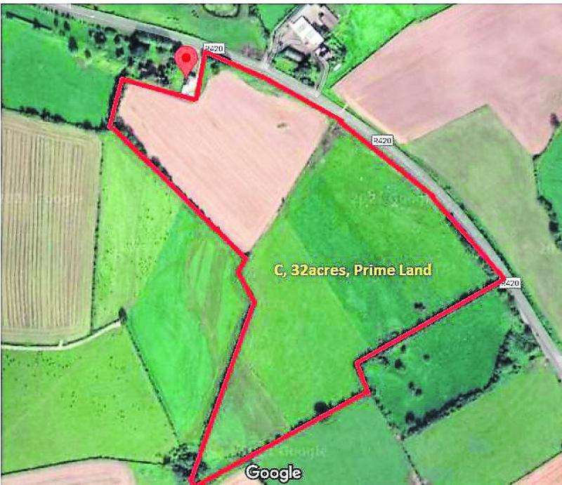 Prime farm land on edge of Offaly village going up for auction