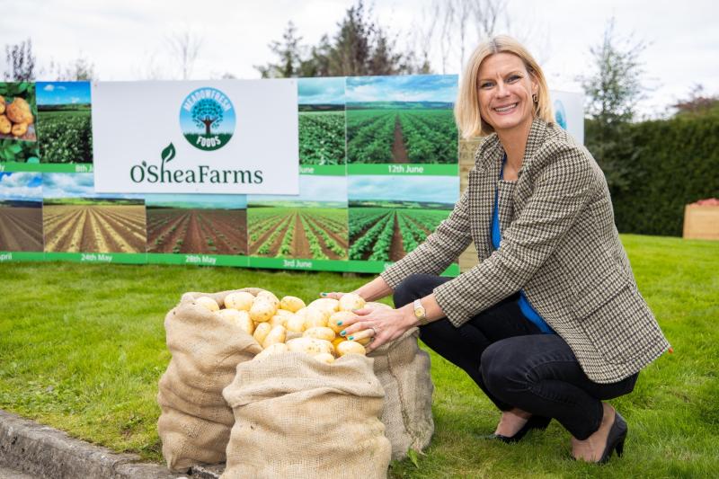 Grow more spuds for chippers says Offaly minister  