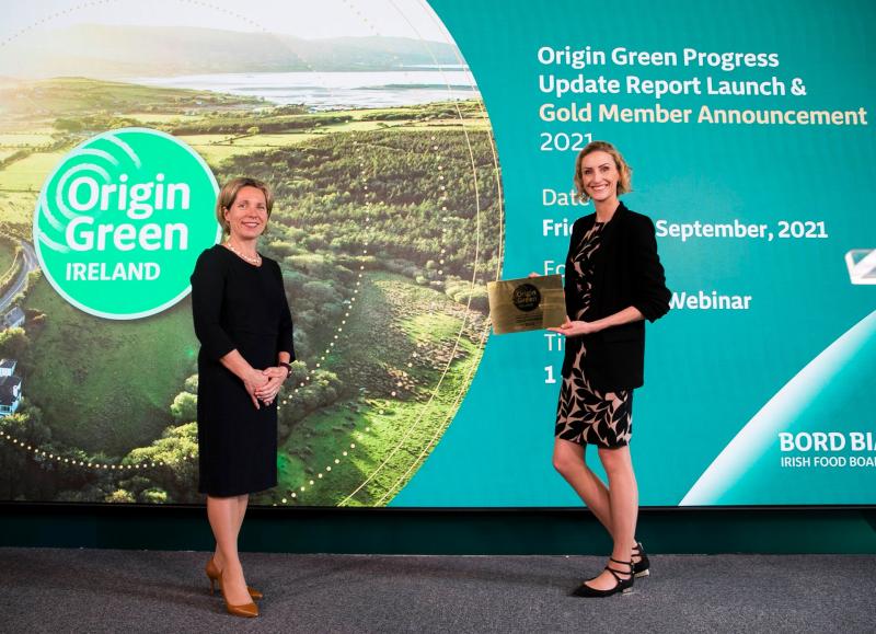 Offaly company awarded gold standard for sustainability 