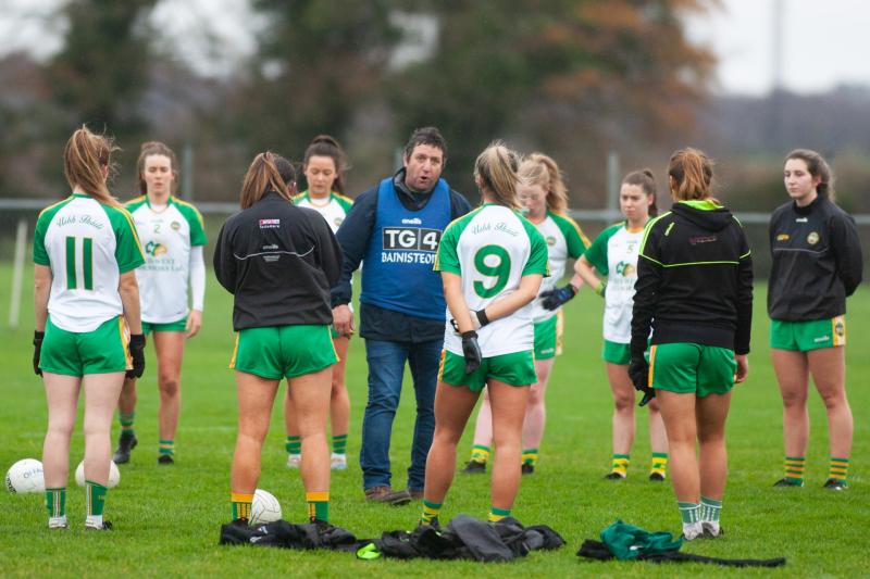 Offaly ladies footballers in hunt for new manager