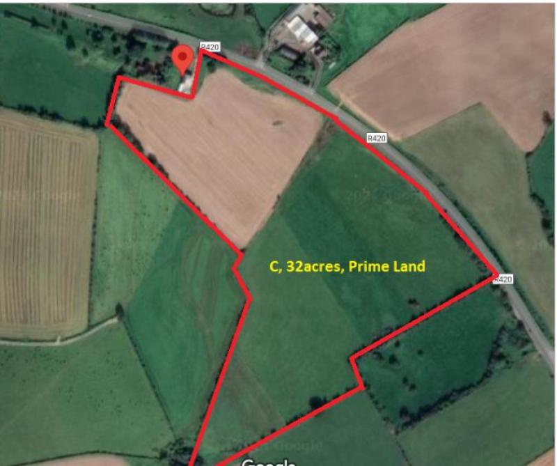 32 acres of Offaly farmland fetches huge sum at auction 