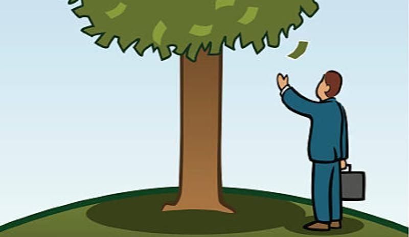Offaly councillors asked if they think there is a magic money tree providing funds