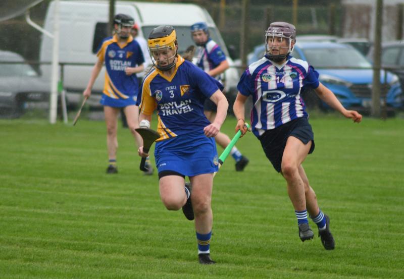 Offaly senior camogie final on Saturday