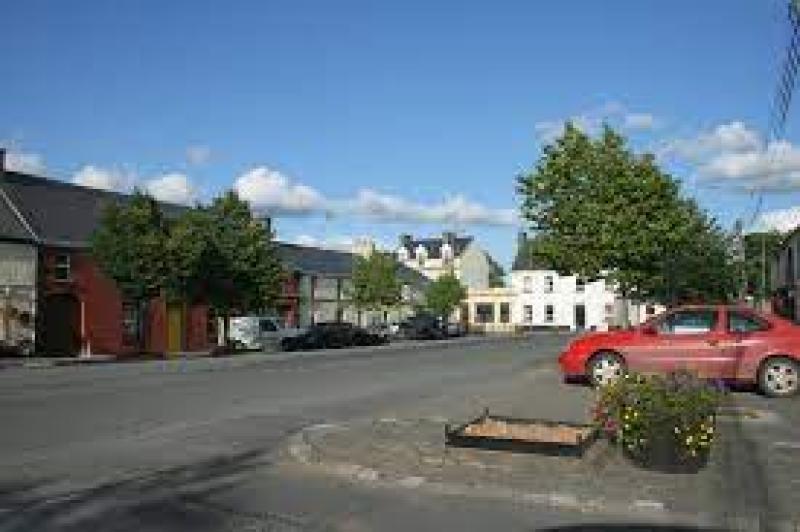 'Connecting Communities with Peatlands' workshop for Cloughjordan 