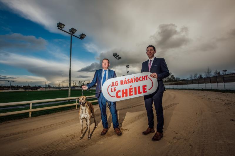 'Perfect 10' - Offaly greyhounds impress in bumper week for winners
