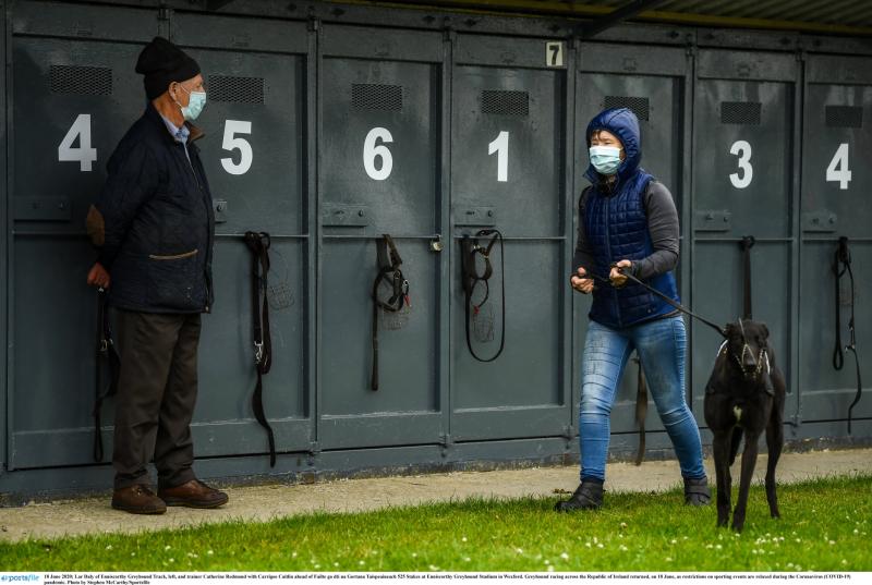 Another great week for Offaly dogs with six more winners across the country