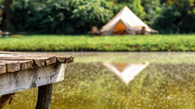 Plans unveiled for new glamping site in Offaly