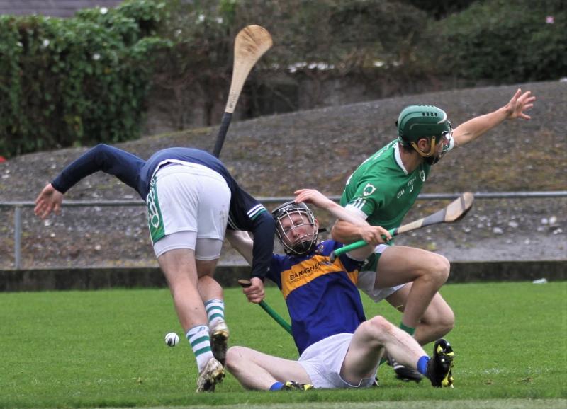 Parlon has sights set on third senior hurling medal in Offaly