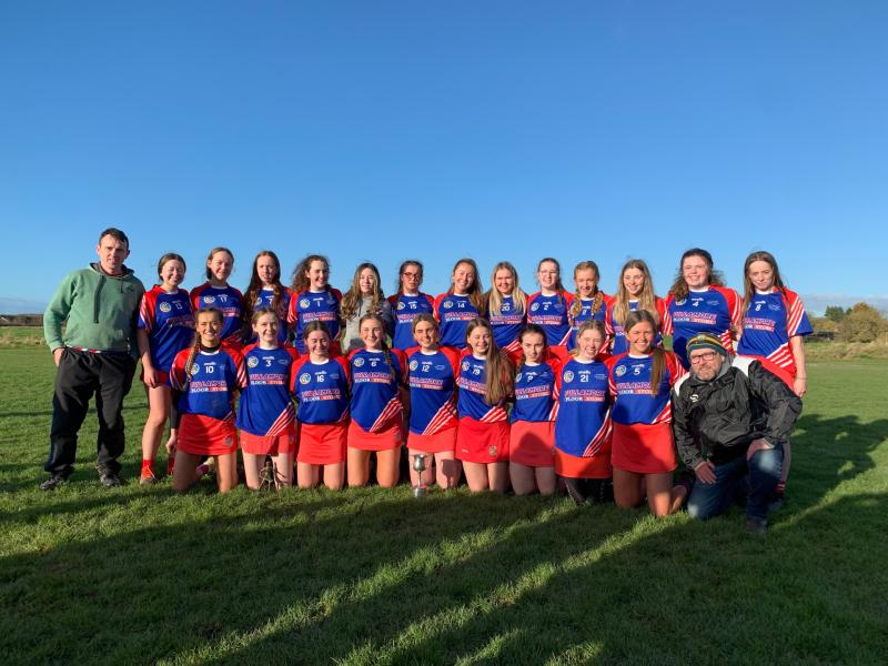 Lusmagh/Drumcullen too strong for St Cillian's