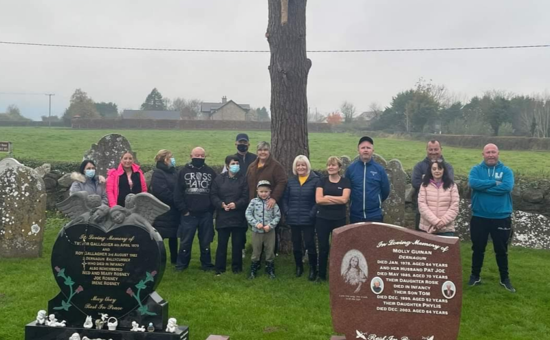 This tree has caused a major dispute at one Offaly graveyard