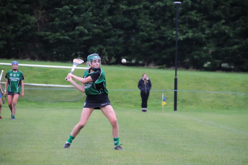 Naomh Brid hit the ground running in delayed championship