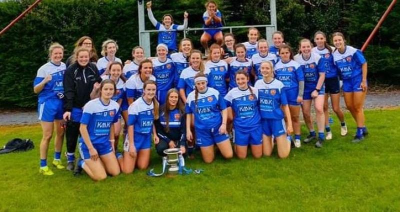 Tullamore bow out in spirited display against Dublin champions 