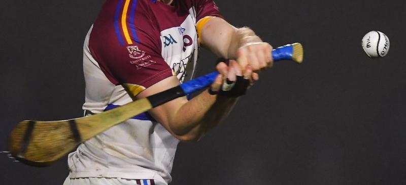 Seven Offaly hurlers registered to play in Fitzgibbon Cup in 2022