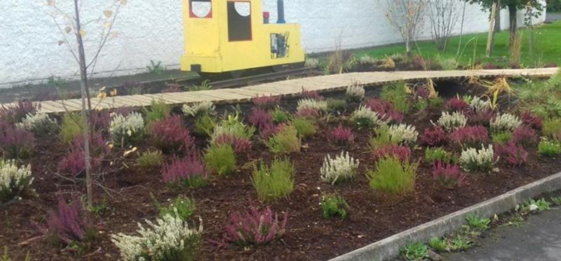 Offaly community group seek Council's assistance with garden 