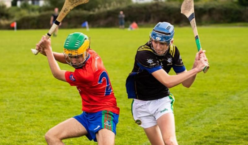 Offaly school pip Laois neighbours to qualify for knockout senior hurling