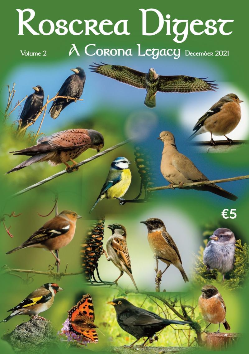 Age Friendly's second Roscrea Digest is available now