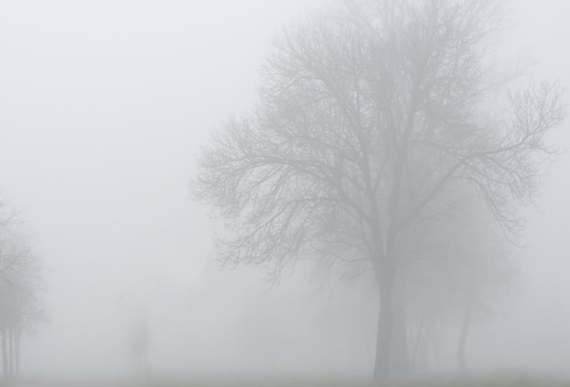 WEATHER WARNING: Met Eireann issues Weather Warning for twelve counties