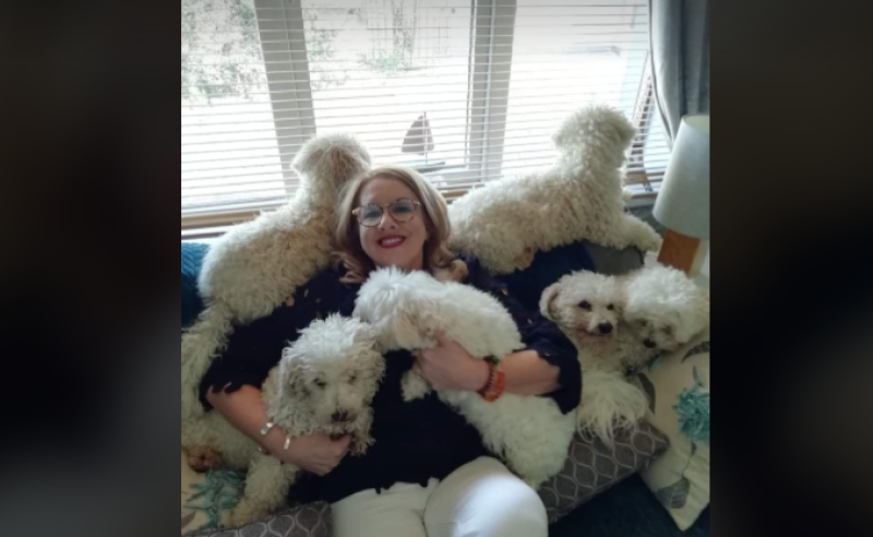 Offaly firefigthers rescue dogs from house devastated by Christmas Eve fire