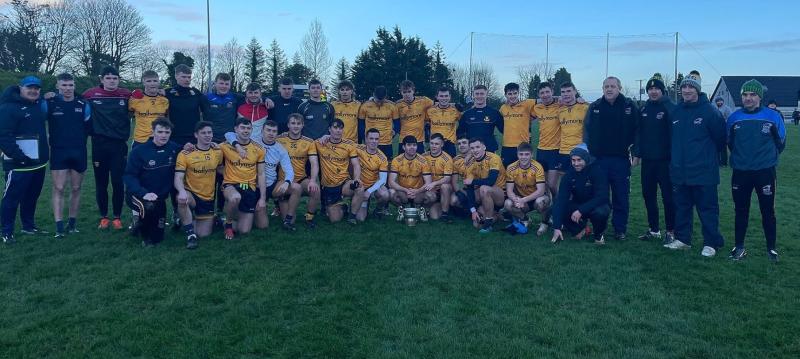 Offaly stars help DCU land Colleges Division 1 football title