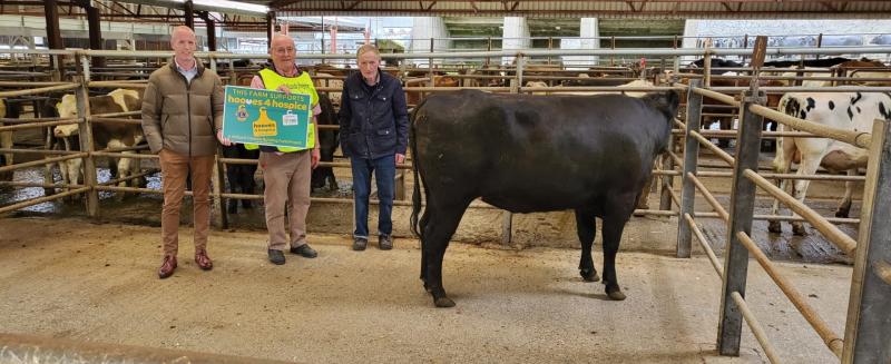 Animal raises over €1,500 for the Lions Club H4H fundraiser