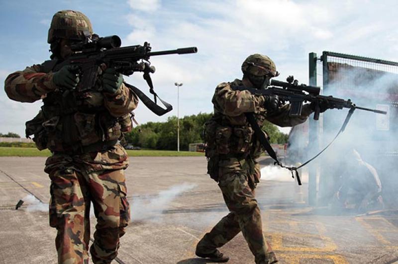 Irish army
