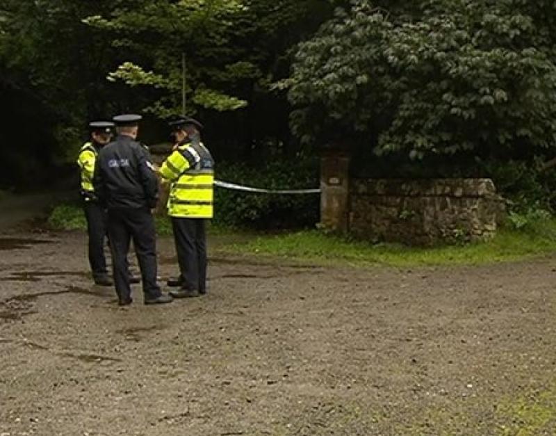 Woman cross-examined by man accused of killing her son in woods near Offaly