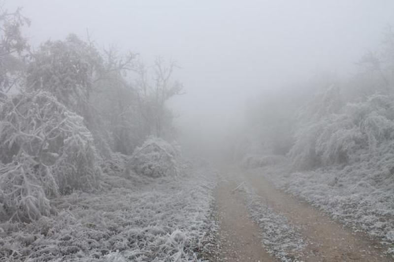 Ireland braced for Arctic conditions and a windchill of -6C in the coming days
