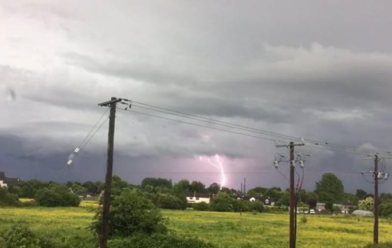 Lightning strike kills cattle on Offaly farm 