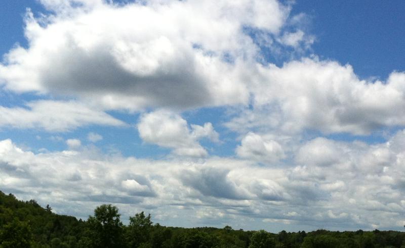 WEATHER FORECAST: Latest weather forecast for the Tullamore Show