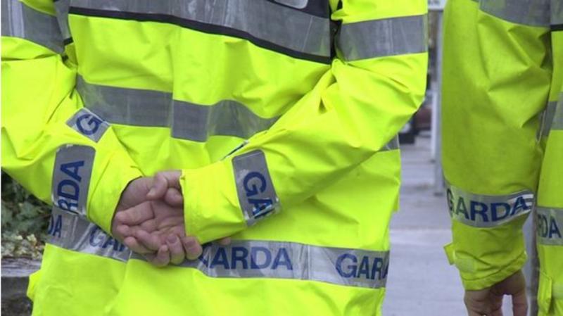 Man accused of having pellet gun at Limerick train station apprehended by gardai