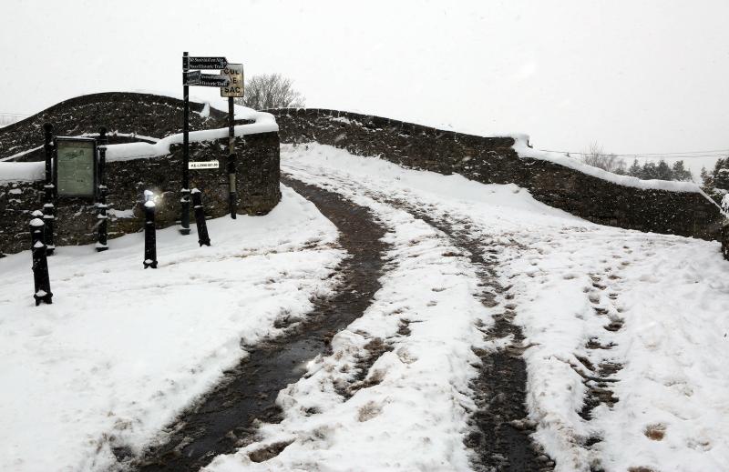 Warning as dog nearly drowns falling through ice in Offaly canal
