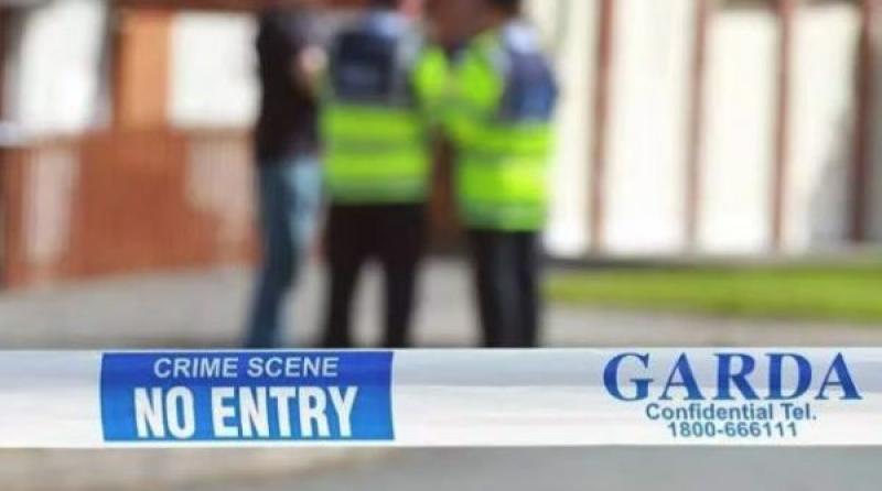 Seventh man released without charge in connection to Bray murder investigation