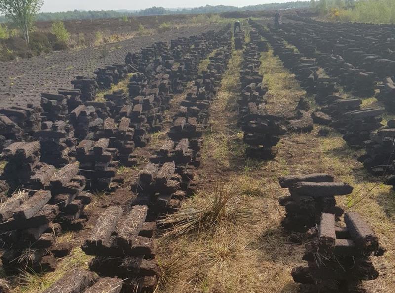 Nolan brands new regulations on solid fuels as “farcical”