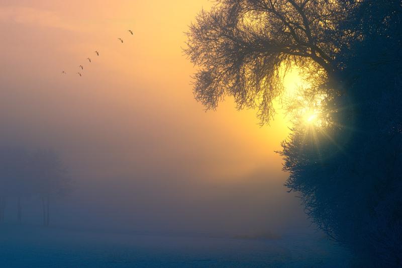 IRELAND WEATHER: Latest Met Eireann weather forecast for Ireland for the coming weekend