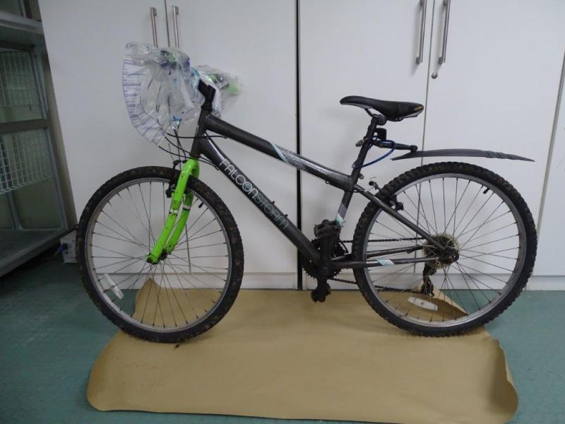 Gardai investigating murder of Ashling Murphy issue renewed appeal for information on bike