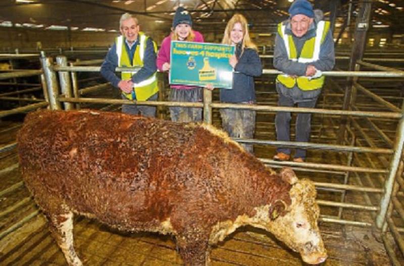 Young Offaly twins support fundraising drive for Midlands hospice
