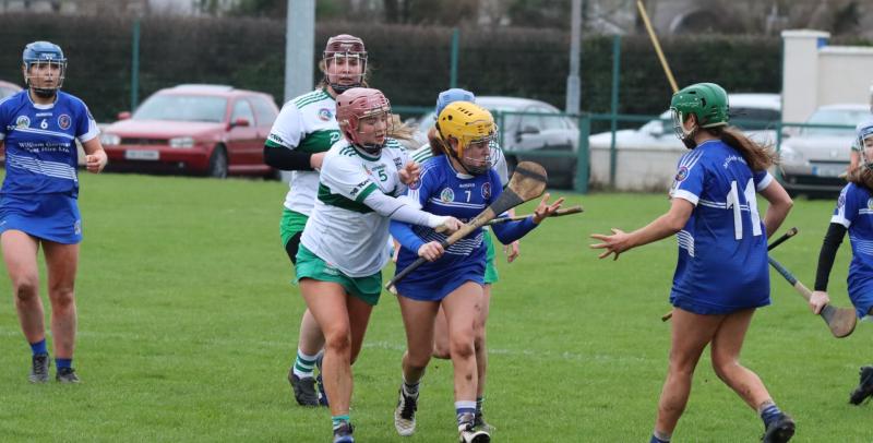 Tullamore show character to reach final