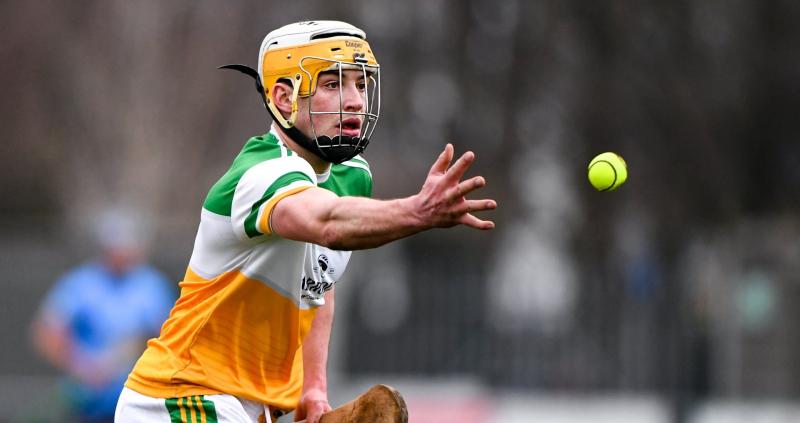 LEAGUE PREVIEW: Performances the target as Offaly hurlers take big step up