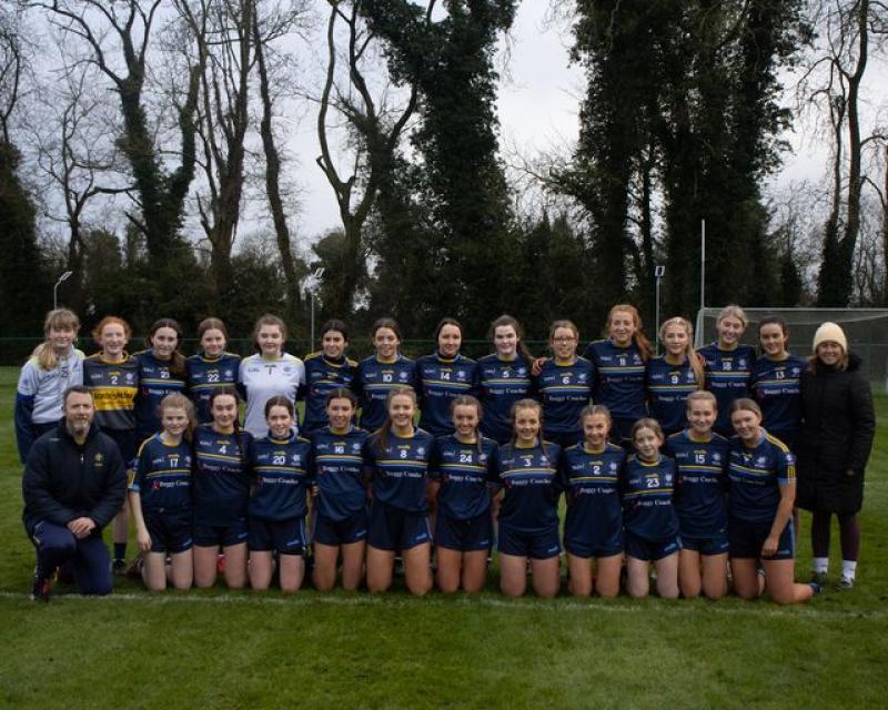Memorable year for Killina camogie ends in All-Ireland semi-final