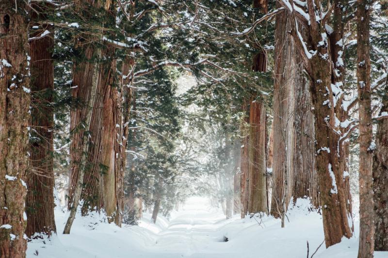 Met Eireann Ireland weather forecast snow Ireland