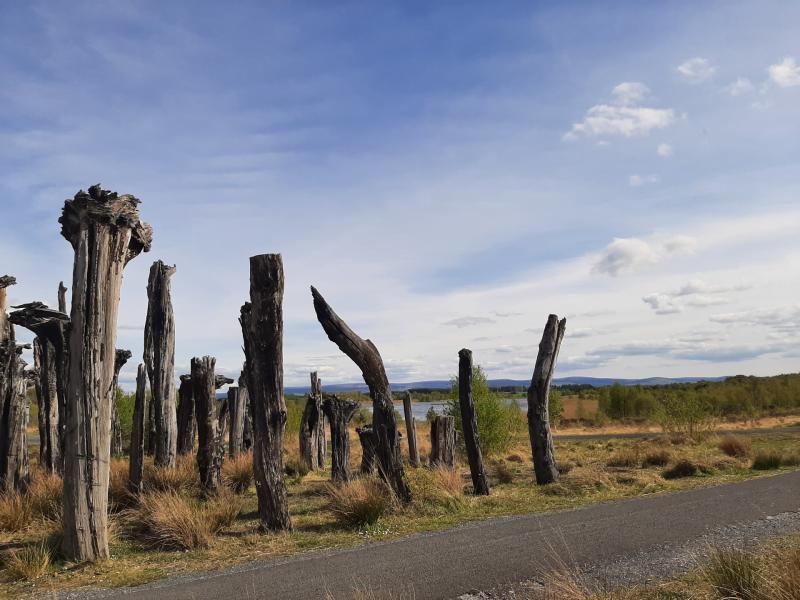 Offaly is 'Hidden Gem' of Irish tourism says local Minister