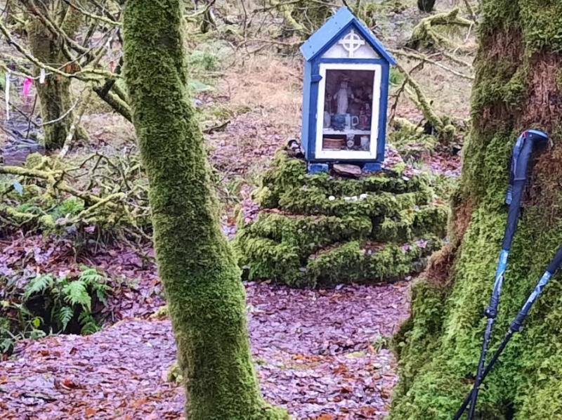 A holy well in Derrycrag Wood