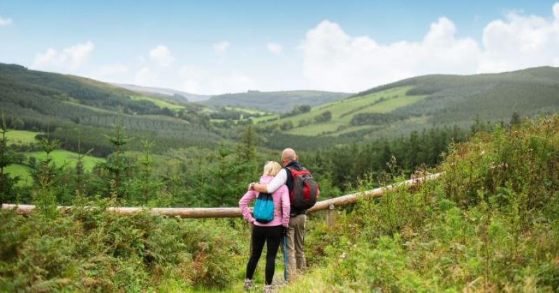 SLIEVE BLOOMS