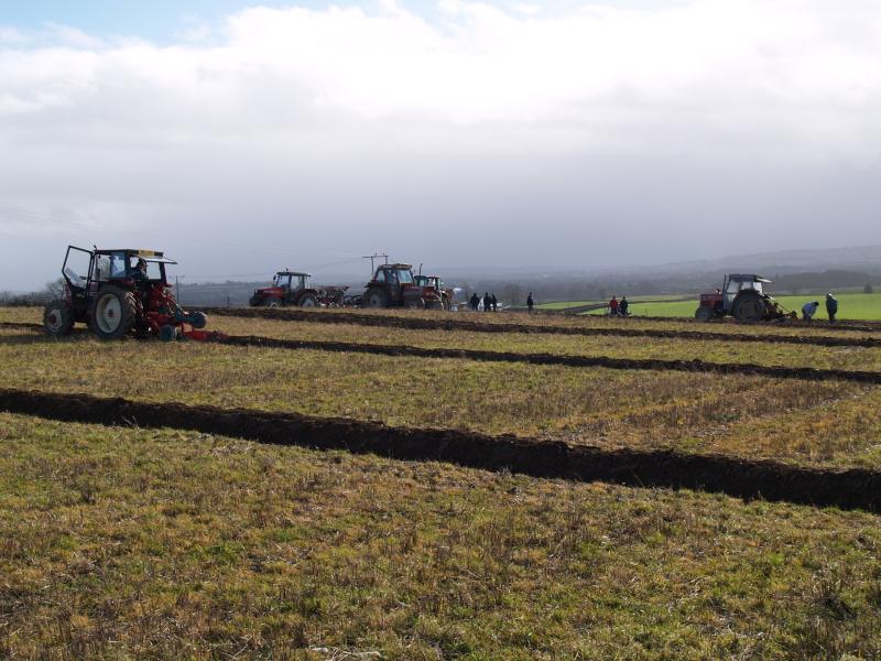 South Offaly Ploughing match next Sunday