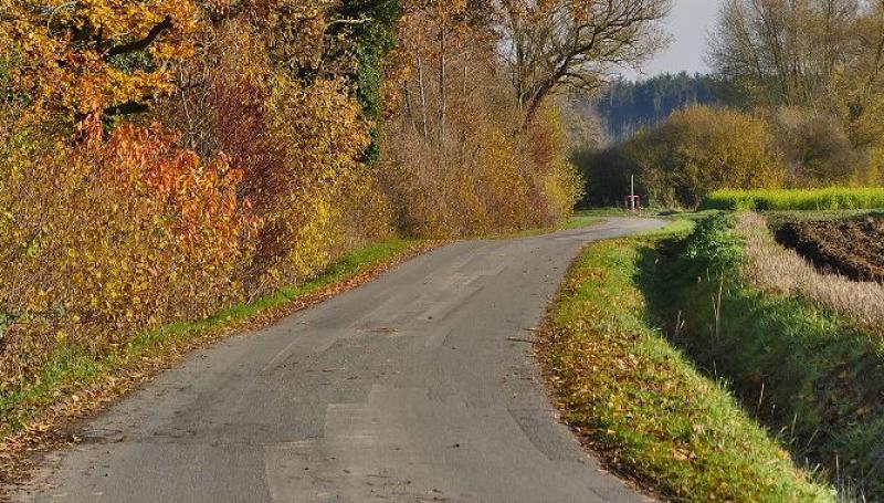 Offaly environmental campaigner hits out at excessive hedgecutting