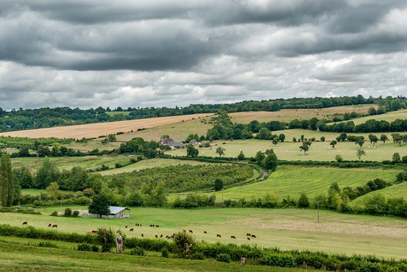 Hedge cutting restrictions come into force next month