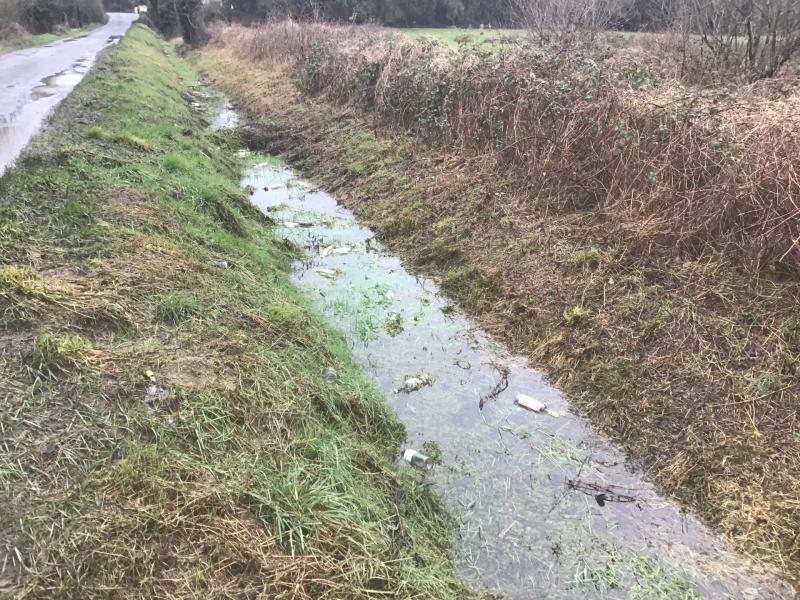DISGRACEFUL - Dozens of wine bottles dumped in ditch at side of road in Offaly