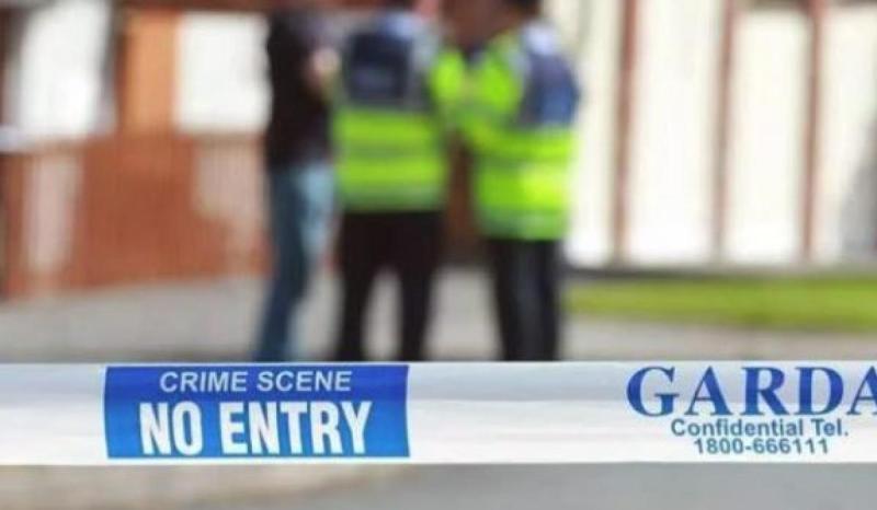 Thieves invade occupied home in Portlaoise - Laois gardai appeal for help