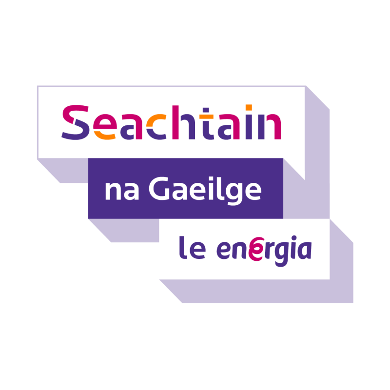 Seachtain na Gaeilge — Maidin Le Comhra in Birr Library on Saturday morning